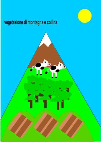 vegetazione di montagna